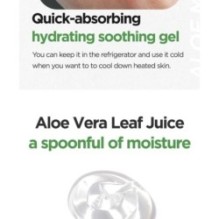 Isntree - Aloe Soothing Gel Moisture Type
