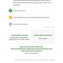 Isntree - Aloe Soothing Gel Moisture Type