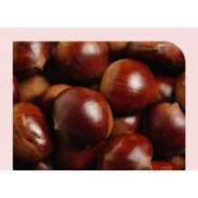 Isntree - Chestnut AHA 8% Clear Essence