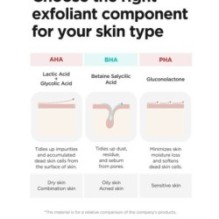 Isntree - Chestnut AHA 8% Clear Essence Mini