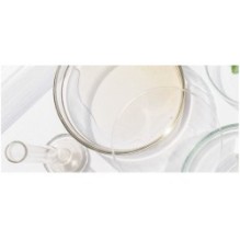 Isntree - Chestnut BHA 0.9% Clear Toner