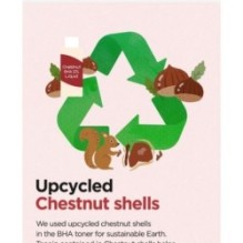 Isntree - Chestnut BHA 2% Clear Liquid