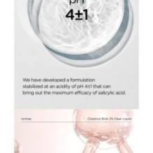 Isntree - Chestnut BHA 2% Clear Liquid