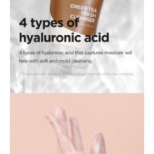 Isntree - Green Tea Fresh Cleanser Mini