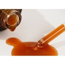 Isntree - Green Tea Fresh Serum