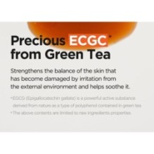 Isntree - Green Tea Fresh Serum