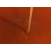 Isntree - Green Tea Fresh Serum