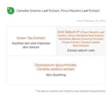 Isntree - Green Tea Fresh Toner Mini