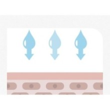 Isntree - Hyaluronic Acid Toner Plus