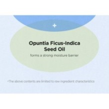 Isntree - Hyaluronic Acid Water Essence