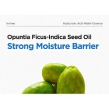 Isntree - Hyaluronic Acid Water Essence