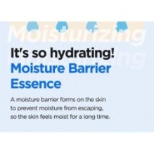 Isntree - Hyaluronic Acid Water Essence