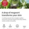 Isntree - Mugwort Calming Ampoule