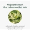 Isntree - Mugwort Calming Ampoule