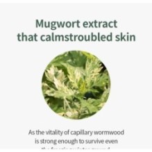 Isntree - Mugwort Calming Ampoule