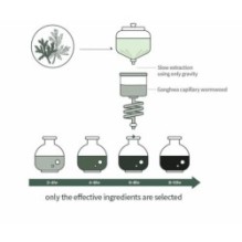 Isntree - Mugwort Calming Ampoule