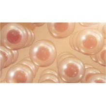 Anua - Vitamin C Niacin Tone Up Blemish Pad