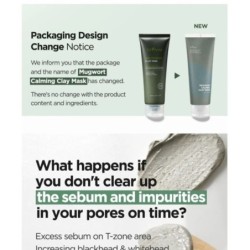 Isntree - Mugwort Calming Clay Mask