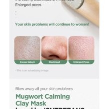 Isntree - Mugwort Calming Clay Mask