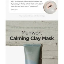 Isntree - Mugwort Calming Clay Mask
