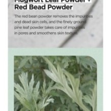 Isntree - Mugwort Calming Clay Mask