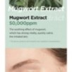 Isntree - Mugwort Calming Clay Mask