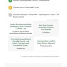 Isntree - Mugwort Calming Clay Mask