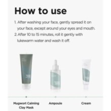 Isntree - Mugwort Calming Clay Mask