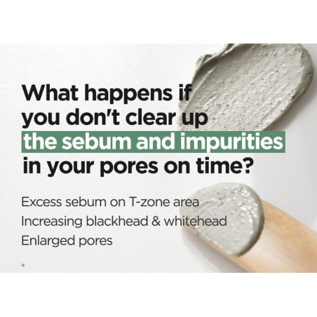 Isntree - Mugwort Calming Clay Mask Mini