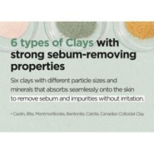 Isntree - Mugwort Calming Clay Mask Mini