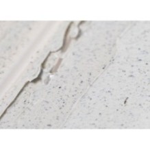 Isntree - Mugwort Calming Clay Mask Mini