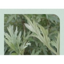 Isntree - Mugwort Calming Clay Mask Mini