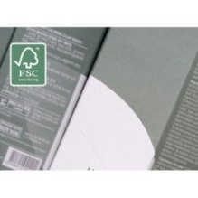 Isntree - Mugwort Calming Clay Mask Mini