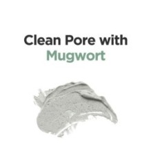 Isntree - Mugwort Calming Clay Mask Mini