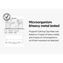 Isntree - Mugwort Calming Clay Mask Mini