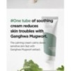 Isntree - Mugwort Calming Cream