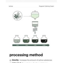 Isntree - Mugwort Calming Cream