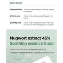 Isntree - Mugwort Calming Gauze Mask Set