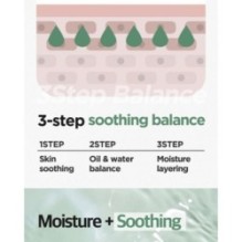 Isntree - Mugwort Calming Gauze Mask Set