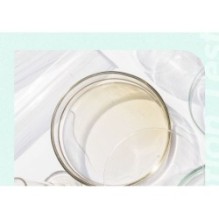 Isntree - Mugwort Calming Powder Wash