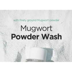 Isntree - Mugwort Calming Powder Wash