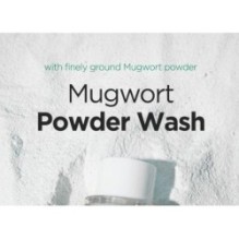 Isntree - Mugwort Calming Powder Wash