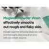 Isntree - Mugwort Calming Powder Wash