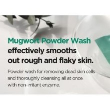 Isntree - Mugwort Calming Powder Wash