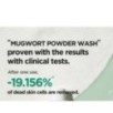 Isntree - Mugwort Calming Powder Wash