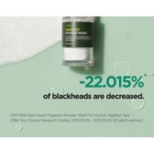 Isntree - Mugwort Calming Powder Wash