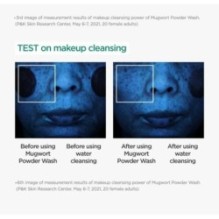 Isntree - Mugwort Calming Powder Wash