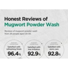 Isntree - Mugwort Calming Powder Wash