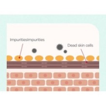 Isntree - Mugwort Calming Powder Wash