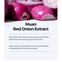 Isntree - Onion Fresh Light Sun Stick